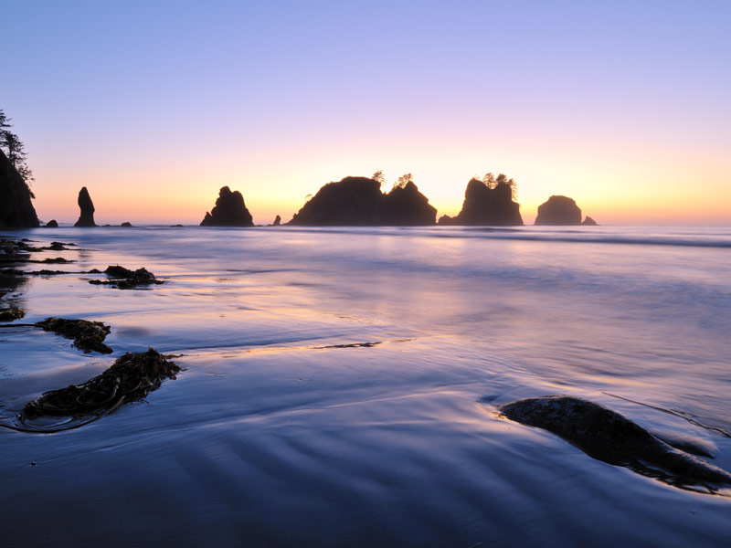 Shi Shi Beach and Point of the Arches
