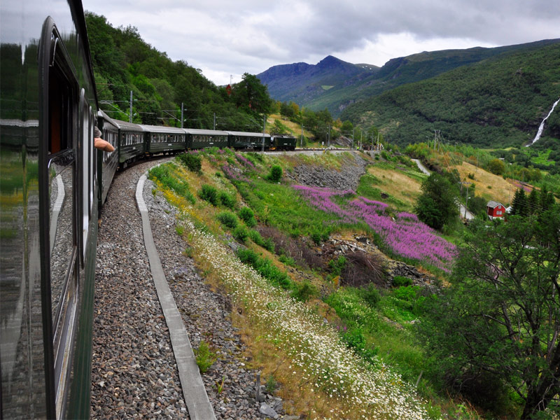 The Flåm Line
