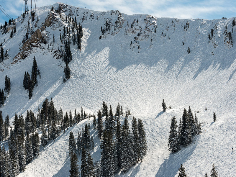 Alta/Snowbird, Alta