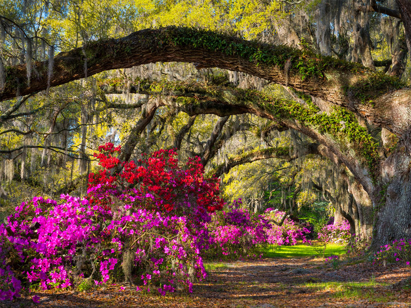 Charleston, South Carolina