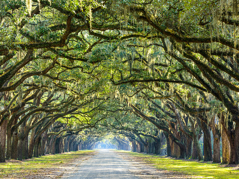 Savannah, Georgia