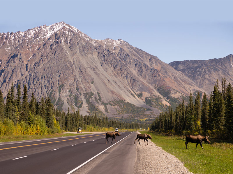 Denali National Park, Alaska