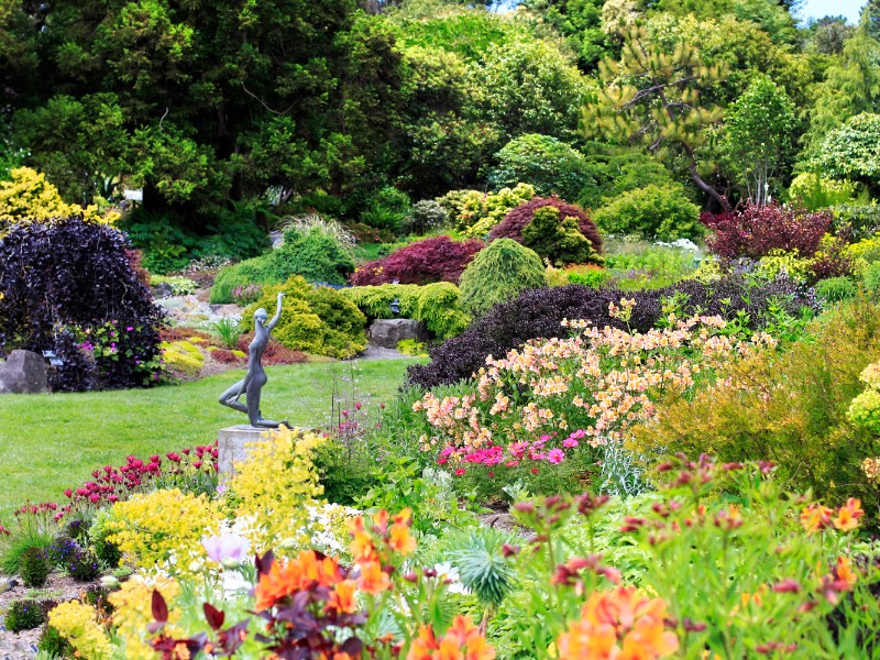 Mendocino Coast Botanical Gardens