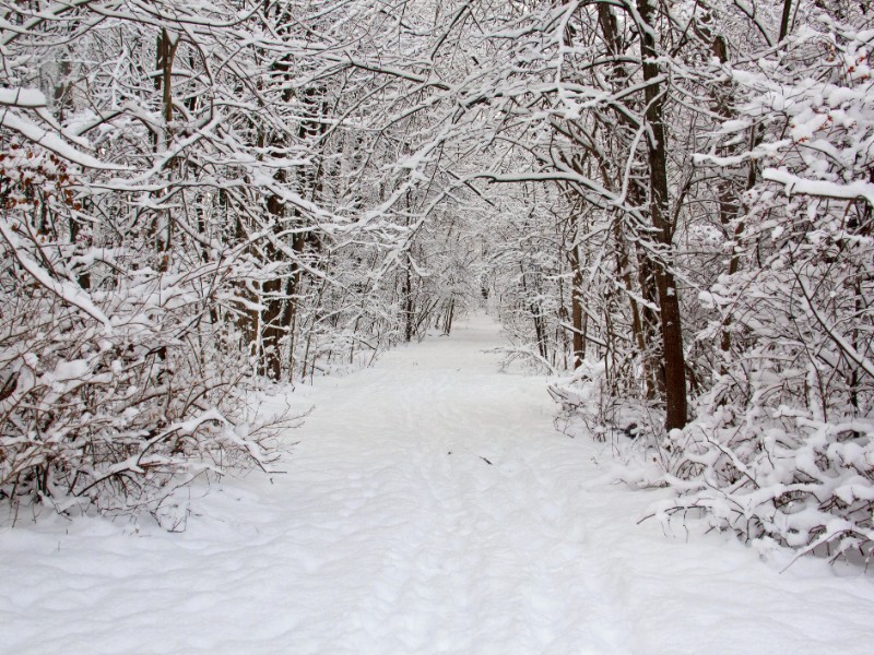 Skiing in Michigan