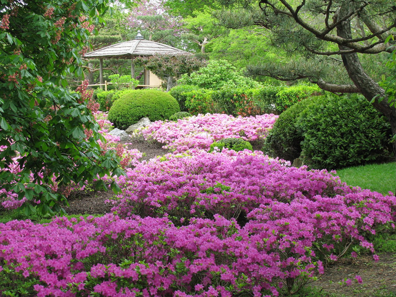 Chicago Botanic Garden, Chicago, Illinois 