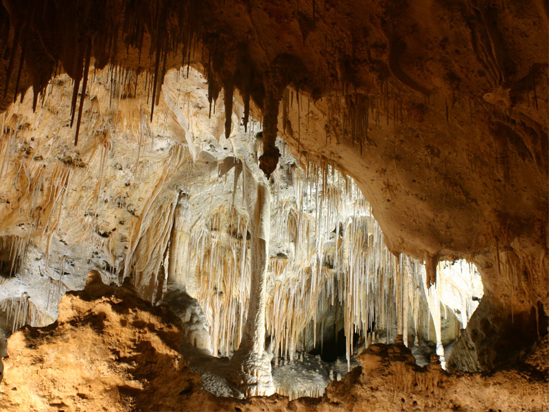 Carlsbad Caverns National Park