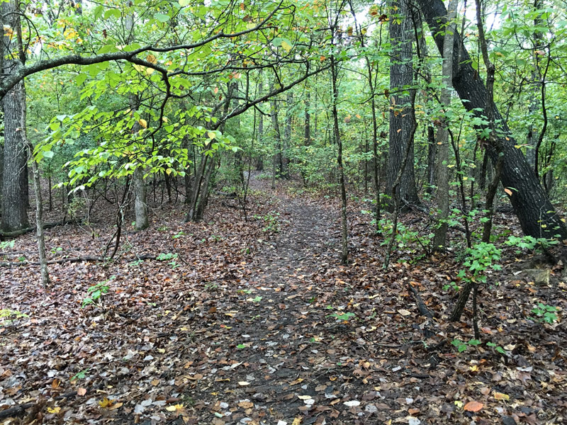 Chattahoochee Bend State Park