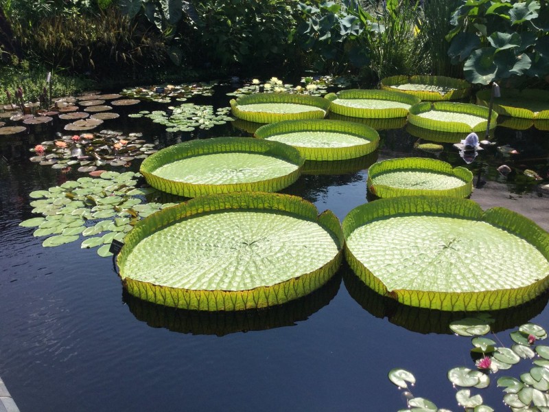 Longwood Gardens