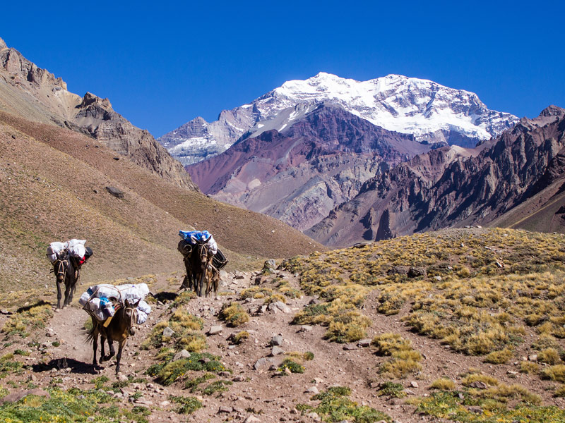 Aconcagua 