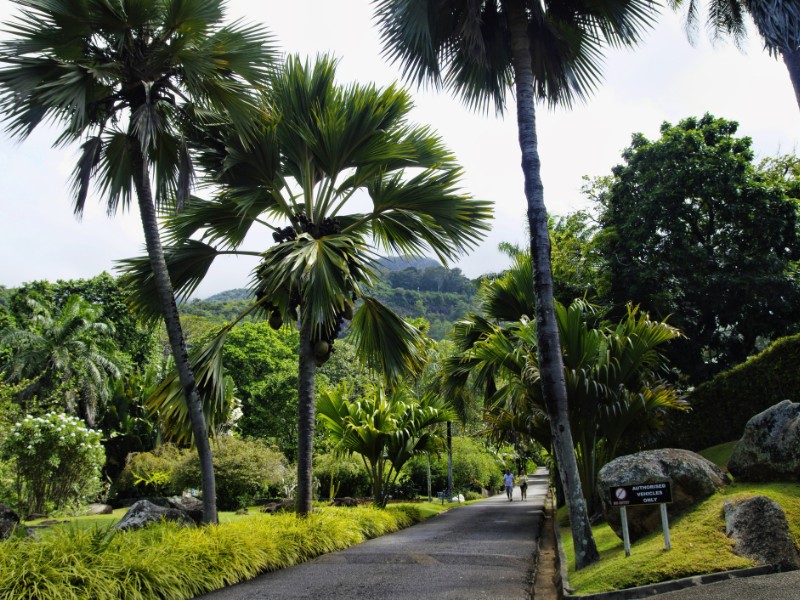 Seychelles National Botanical Gardens