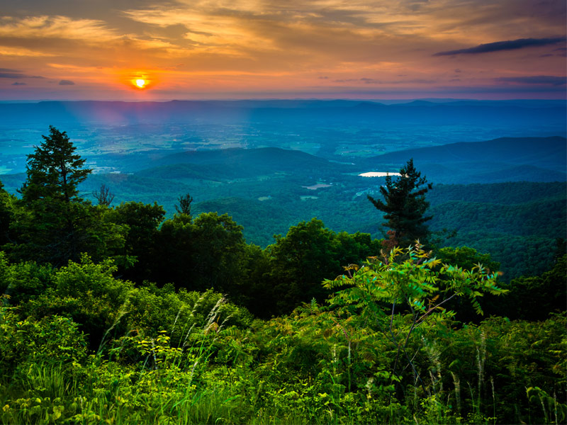 Shenandoah National Park, Virginia