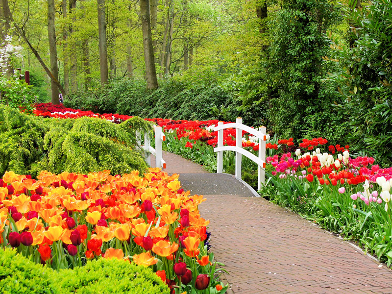 Keukenof, Lisse, Netherlands