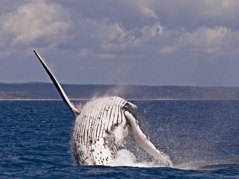 Hervey Bay, Australia