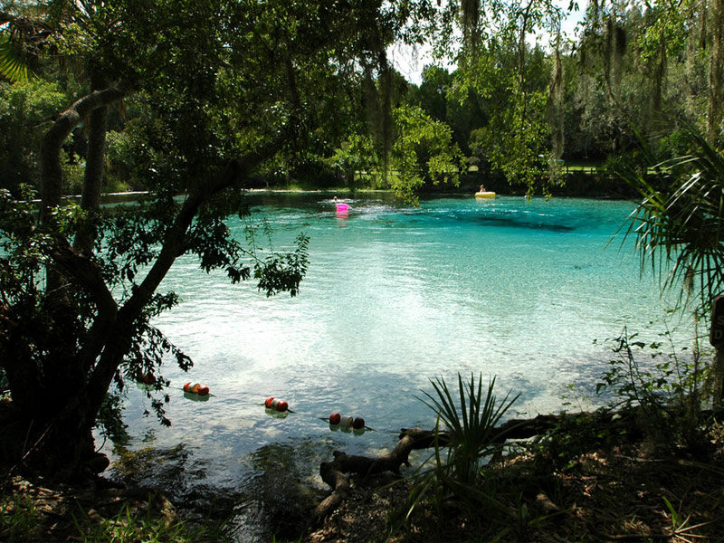 Silver Glen Springs, Ocala National Forest