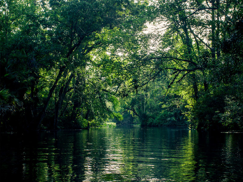 Wekiwa Springs State Park