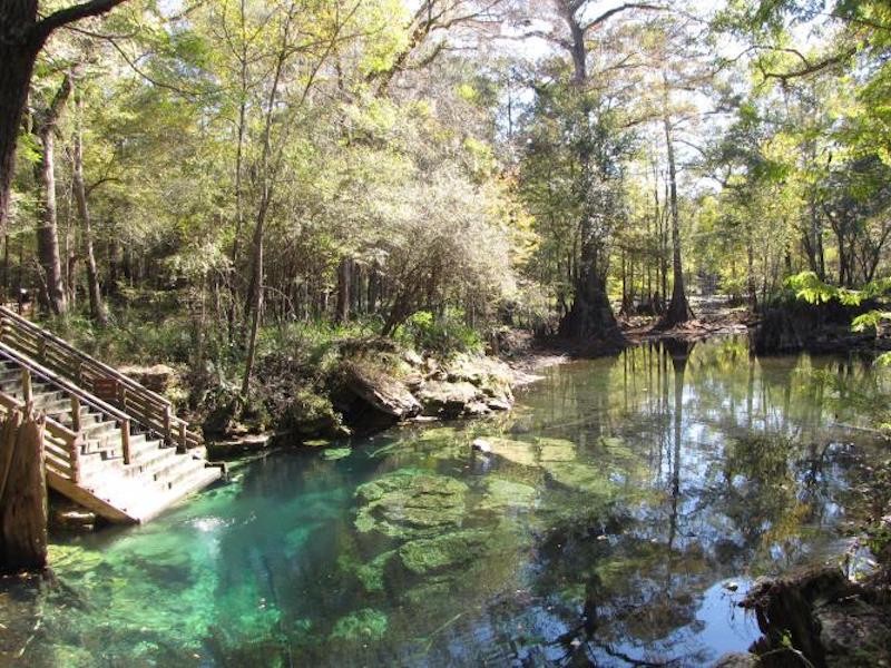 Wes Skiles Peacock Springs State Park