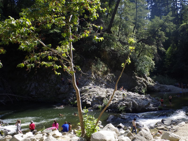 Garden of Eden, Santa Cruz