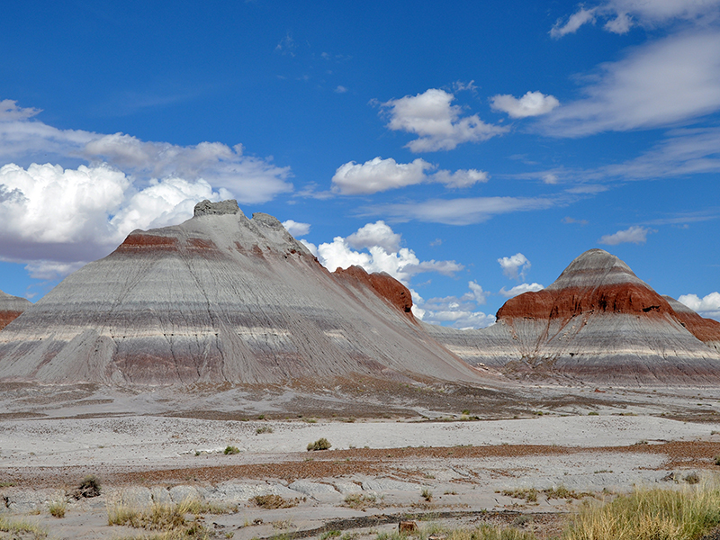 Petrified National Forest