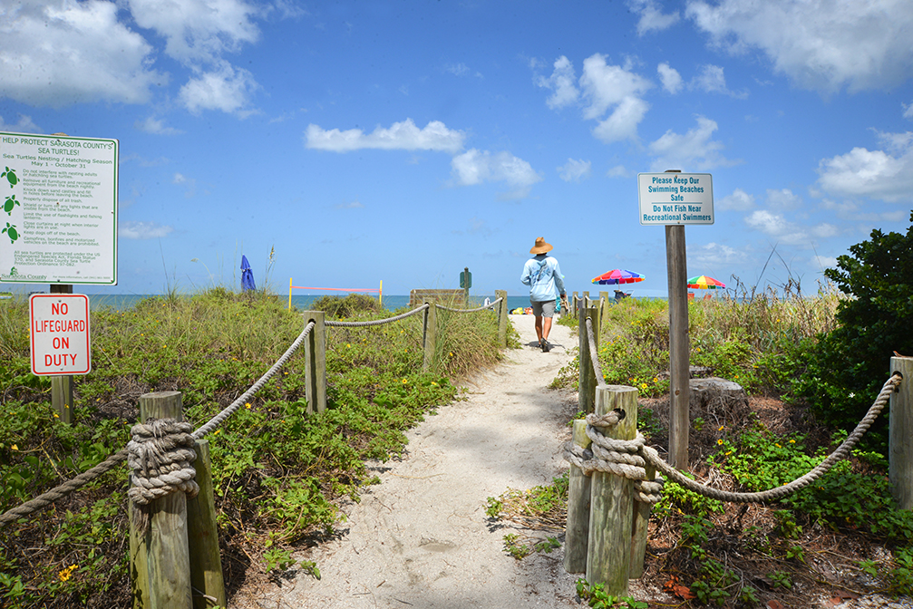 Beach near Turtle Beach Campground