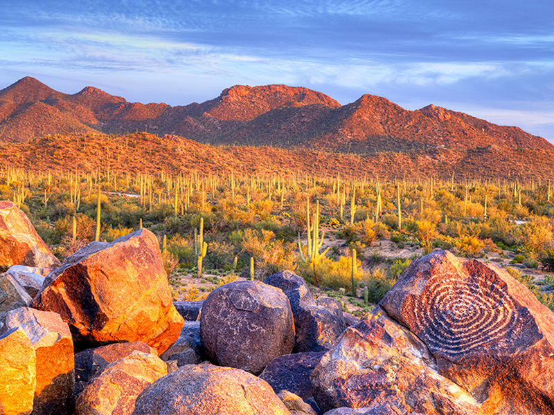 Signal Hill, Saguaro National Park, Tucson, Arizona