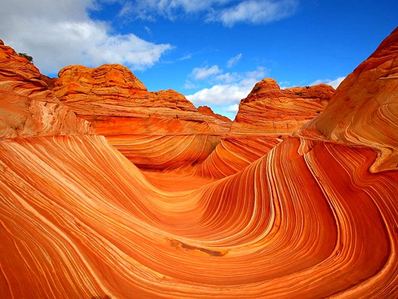 Wave at Marble Canyon