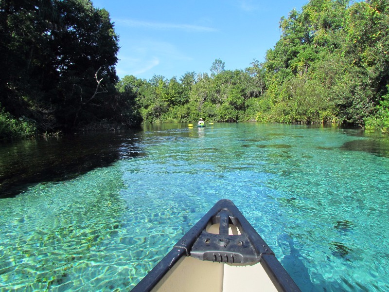 Weeki Wachee