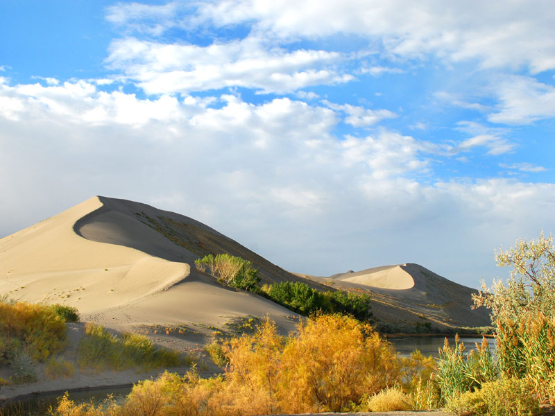 Bruneau Dunes State Park, Bruneau