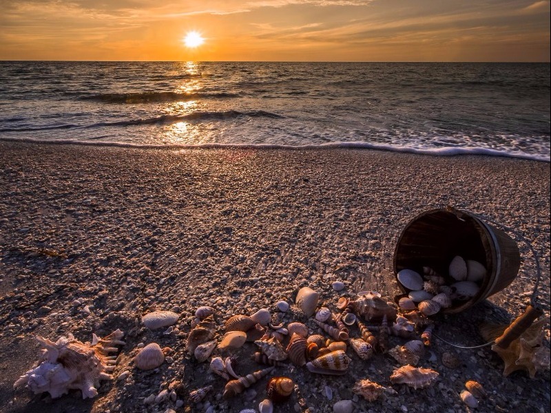 Cayo Costa State Park 