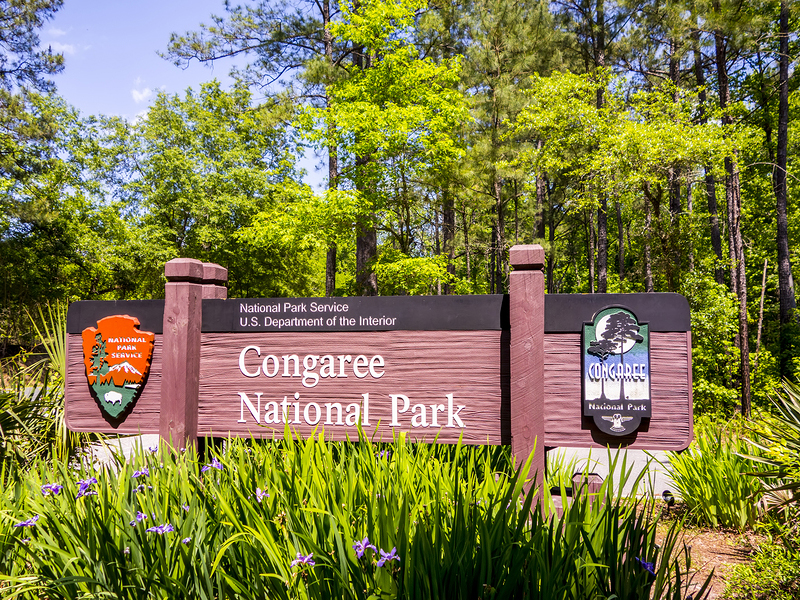 Congaree National Park, South Carolina