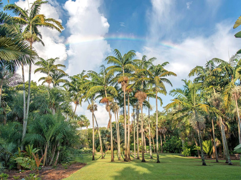 Fairchild Tropical Botanic Garden