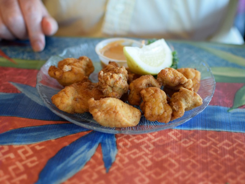 Fried alligator bites in Florida.