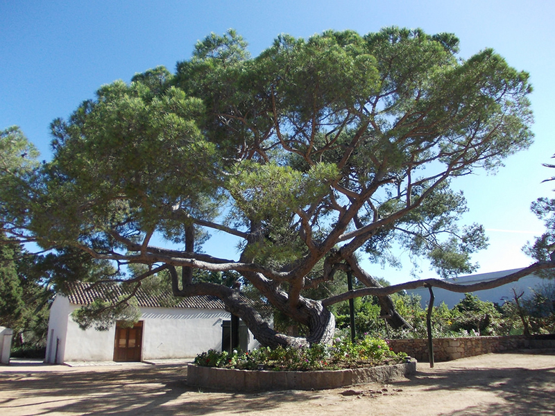 Garibaldi House