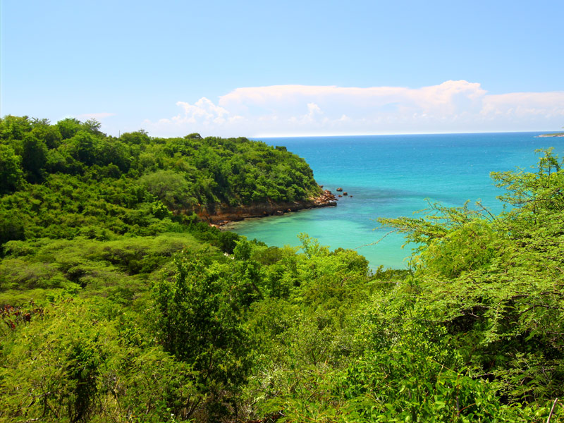 Gilligan’s Island, Guanica

