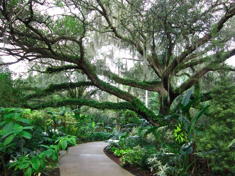 Harry P. Leu Gardens