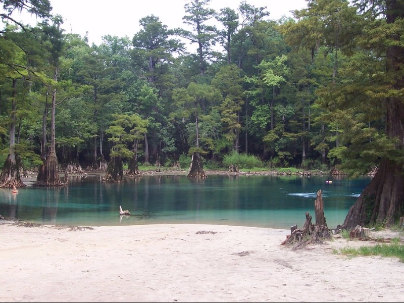 Morrison Springs