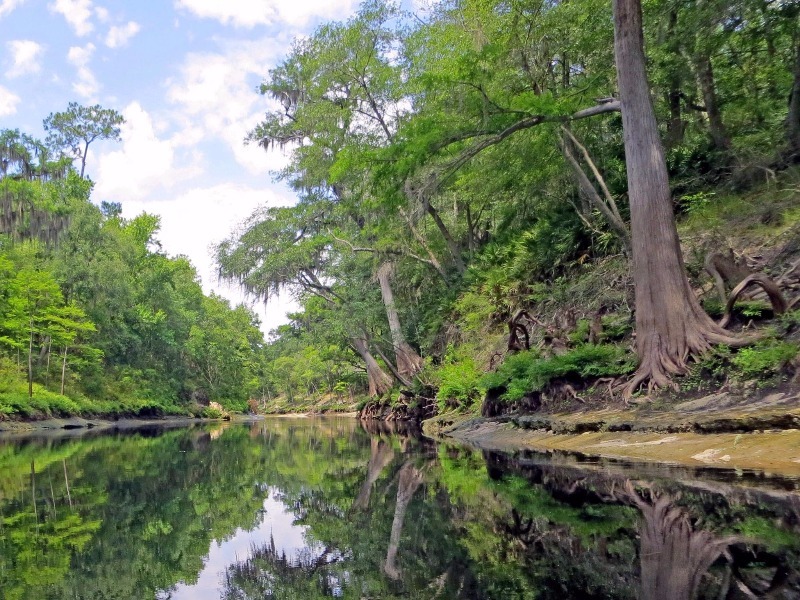 Suwannee River Wilderness Trail