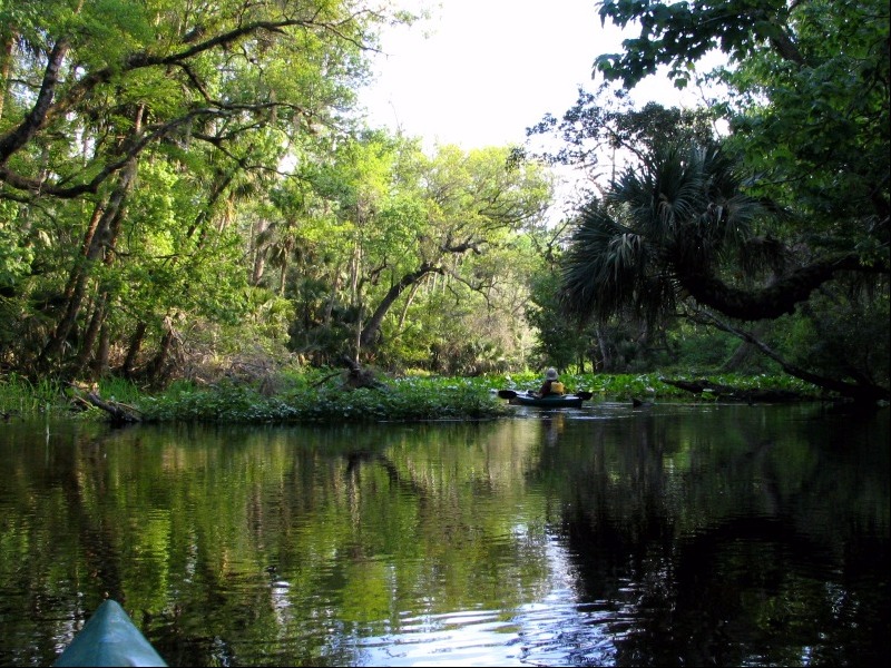 Wekiwa Springs