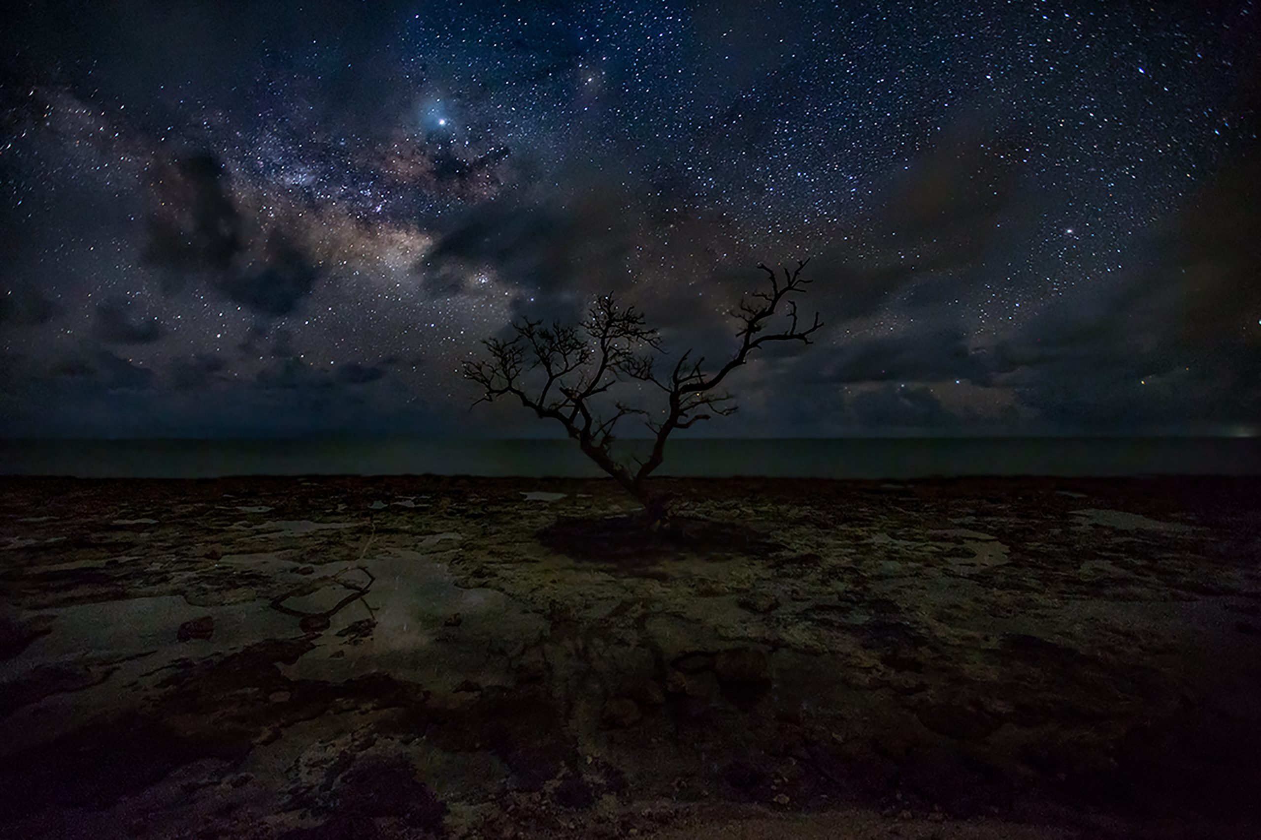 A view of the starry night sky in Big Pine Key, Florida