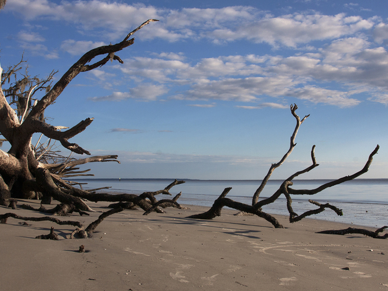 Jekyll Island