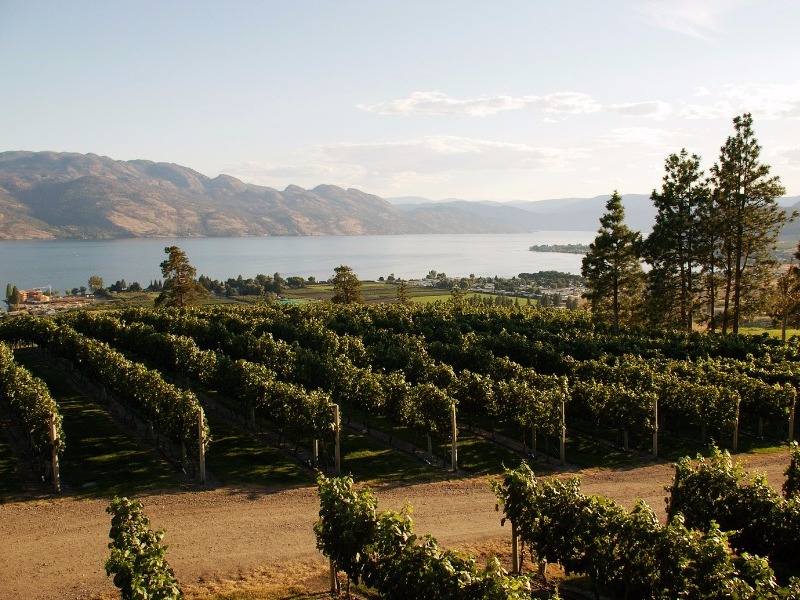 Kelowna & the Okanagan Valley