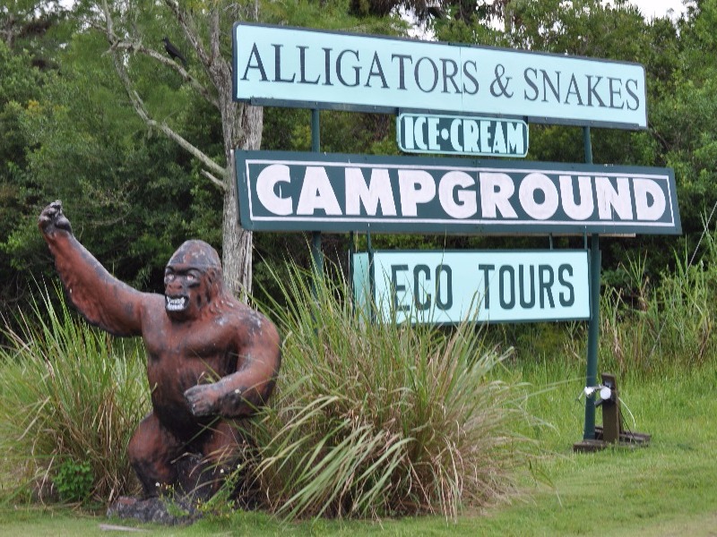 Skunk Ape Research Headquarters