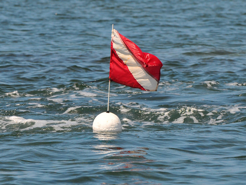 Dive Flag