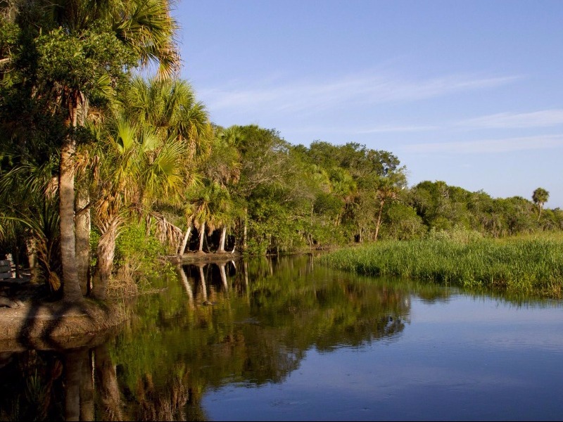 Myakka River State Park