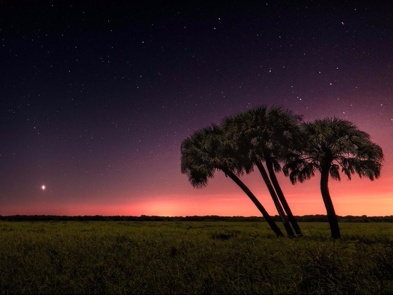 Myakka River State Park