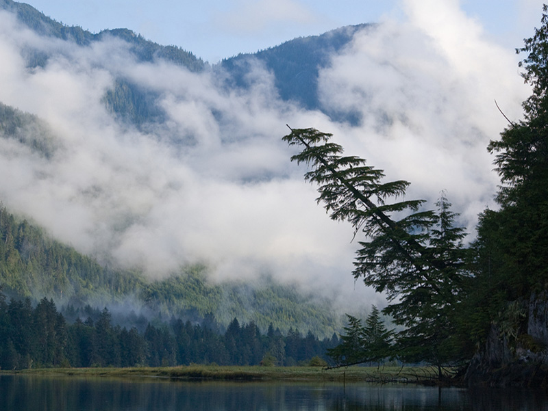 Great Bear Rainforest, British Columbia