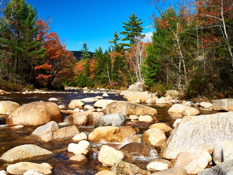 White Mountains