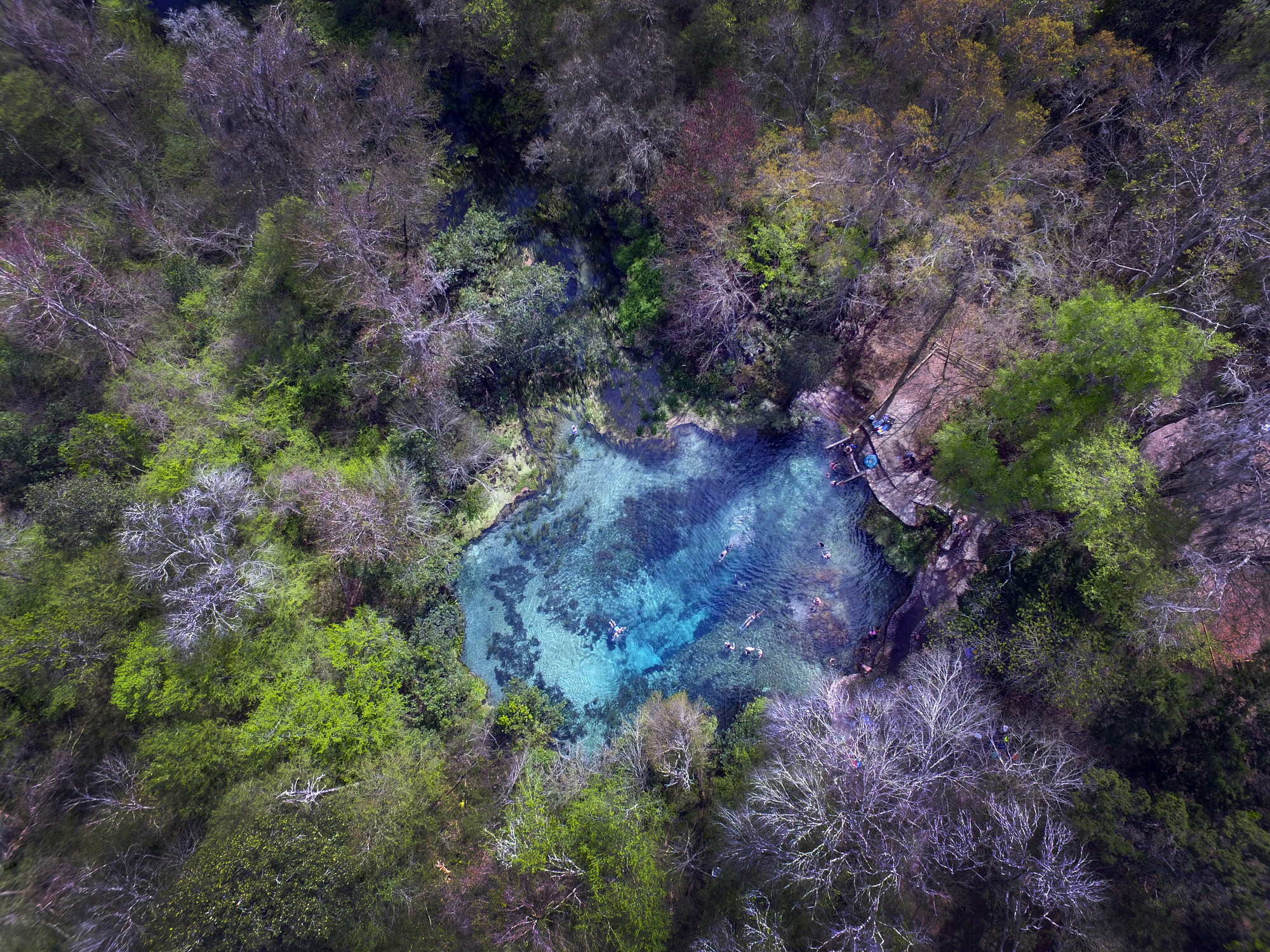 Ichetucknee Springs