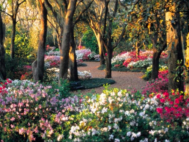 Bok Tower Gardens