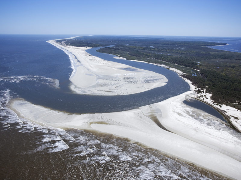 Cumberland Island, Georgia