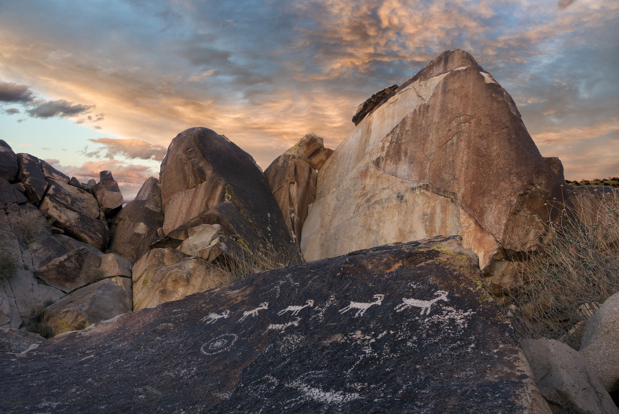 Grapevine Canyon Petroglyphs